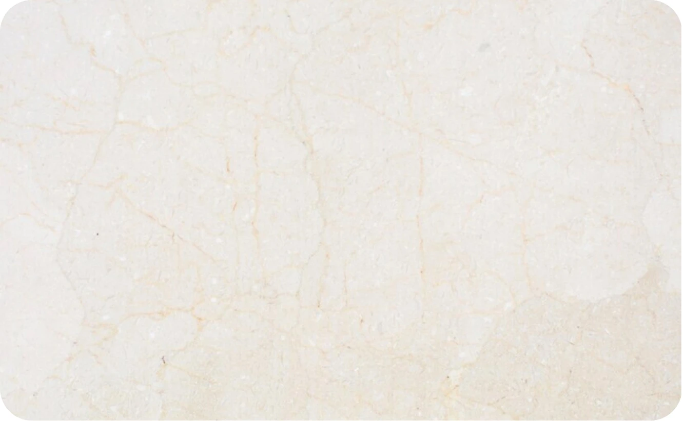 Homogeneous Tiles
